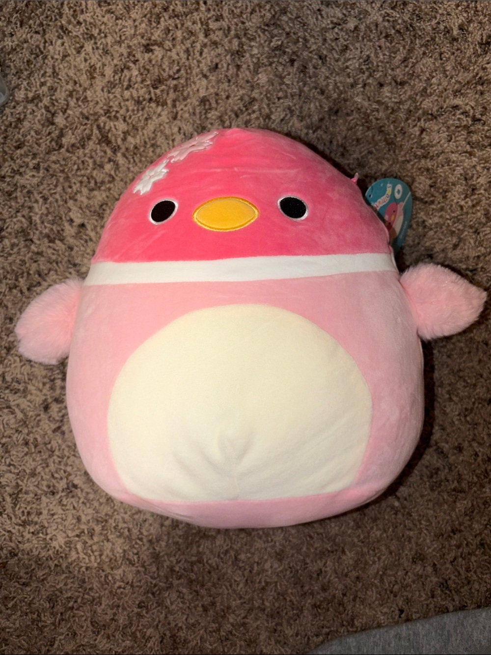 Sonja Sakura Pink Duck Squishmallow First To Market 11” NWT